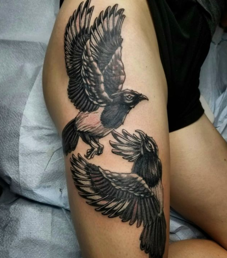 tattoos/ - Cody Cook Magpie  - 142971
